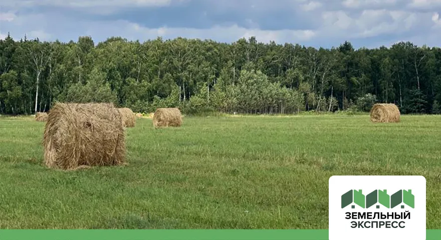 Работы по благоустройству поселка «Минаево ИЖС»