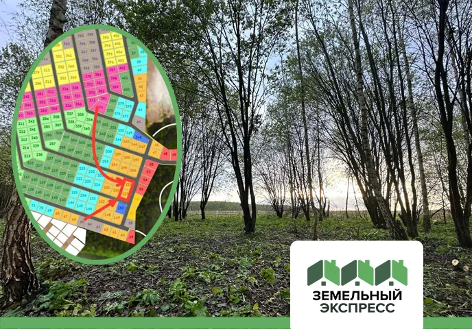 Проводим работы по облагораживанию территории в КП "Новое Растуново"﻿