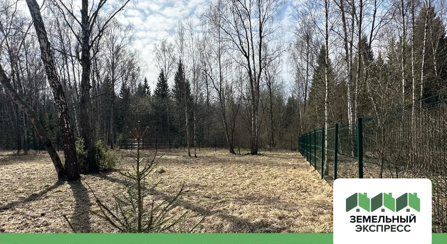 Проводим работы по обустройству территории в поселке "Лесной остров"