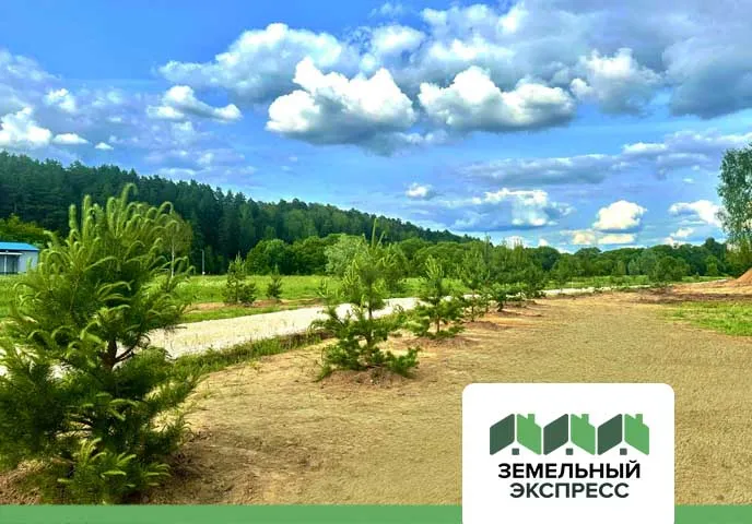 В КП "Фаворит" идет озеленение новых участков