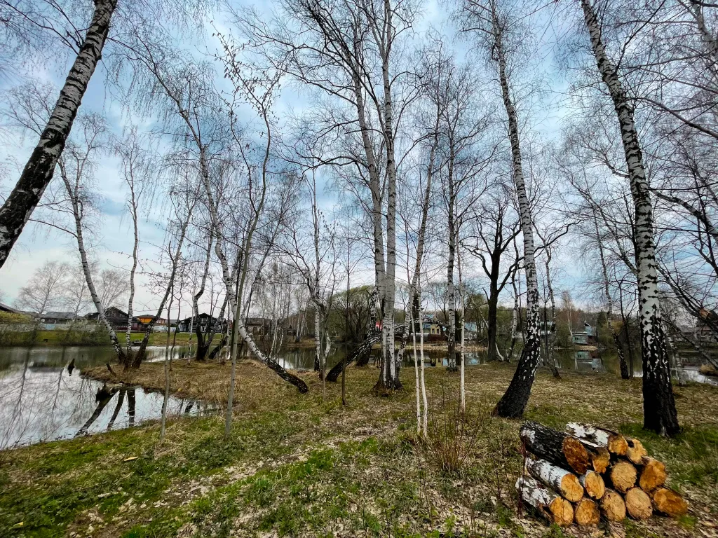 Рэд полоса берега.jpg Рэд полоса берега.jpg