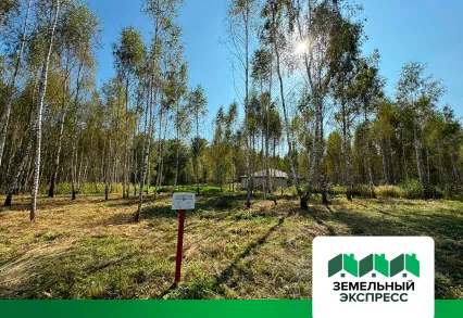 Благоустройство участков в КП "Лесной остров"