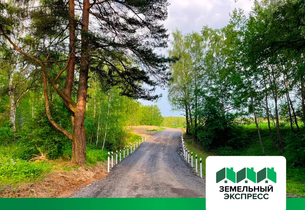 Установлены сигнальные столбики вдоль дороги поселка "Лесной Остров"