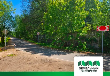 Дорожные работы возле КП "Триумфальный"