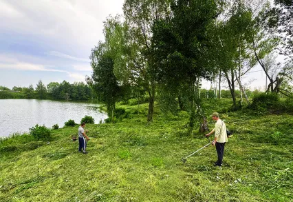 Благоустройство территории КП «Лазурный»: обновление зелёных зон
