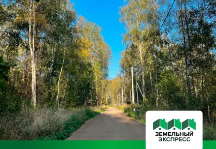 Произвели локальный ремонт лесных дорог в поселке «Степыгино ИЖС 2»