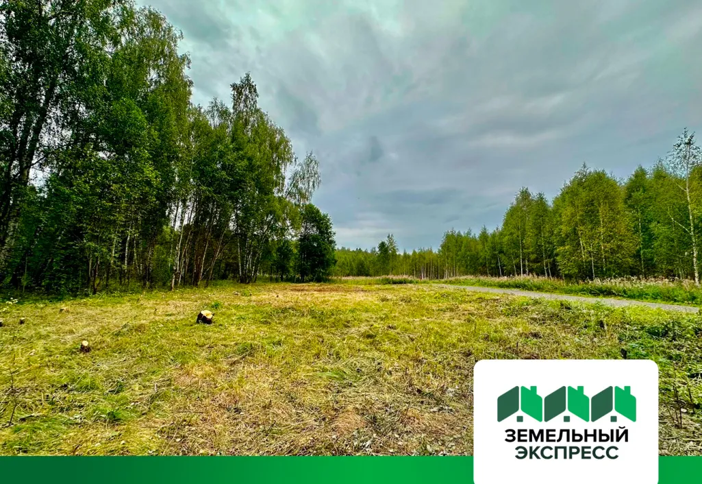 Благоустройство территории в поселке "Лесной Остров"