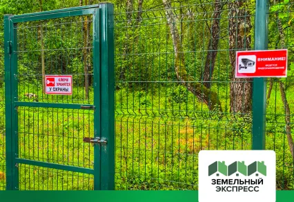 КП «Династия» становится ещё удобнее: организованы выходы в лес