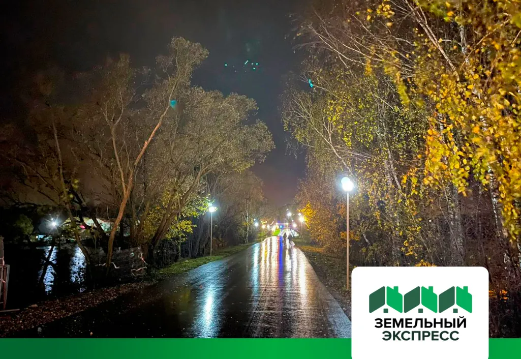 Освещение на подъездной дороге к поселку «Династия»