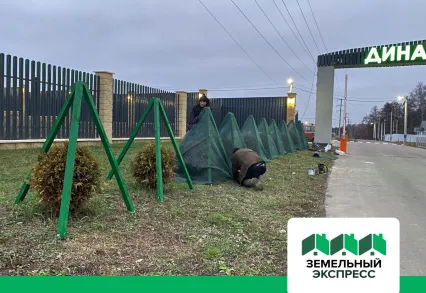 Утепление зеленых насаждений в КП “Династия”