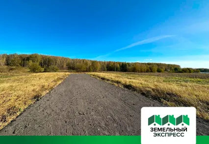 Укладка асфальтовой крошки в поселке «Бунино»