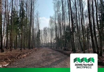 Приступили к выносу границ непроданных участков в посёлке бизнес-класса "ПриЛесной"