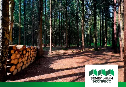 Благоустройство участков в поселке "Лесной остров"