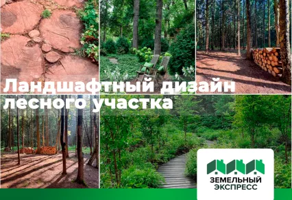 Ландшафтный дизайн лесного участка: особенности и тонкости