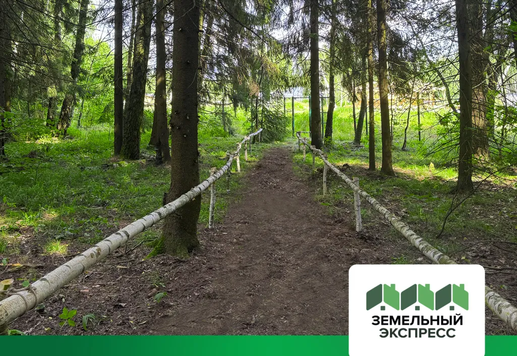 В КП «Лесной Остров» начали благоустройство выходов в лес