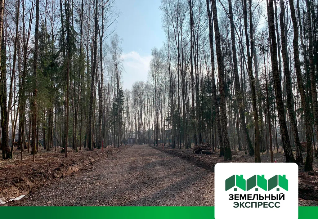 Приступили к выносу границ непроданных участков в посёлке бизнес-класса "ПриЛесной"