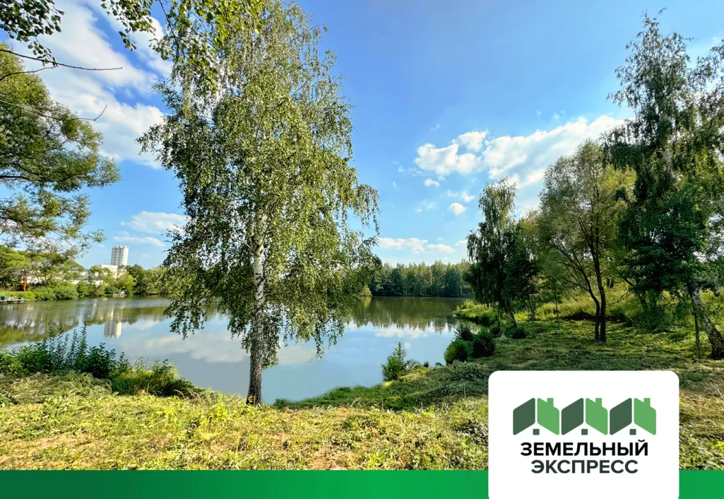 Облагораживание береговой в Лазурном