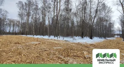 Работы по обустройству дорожной сети в поселке "Дивный"