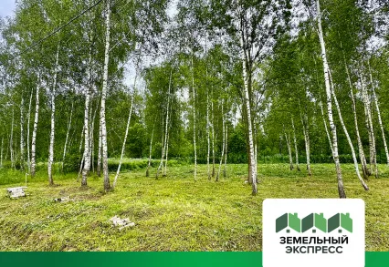 Плановые работы в КП «Лесной Остров»