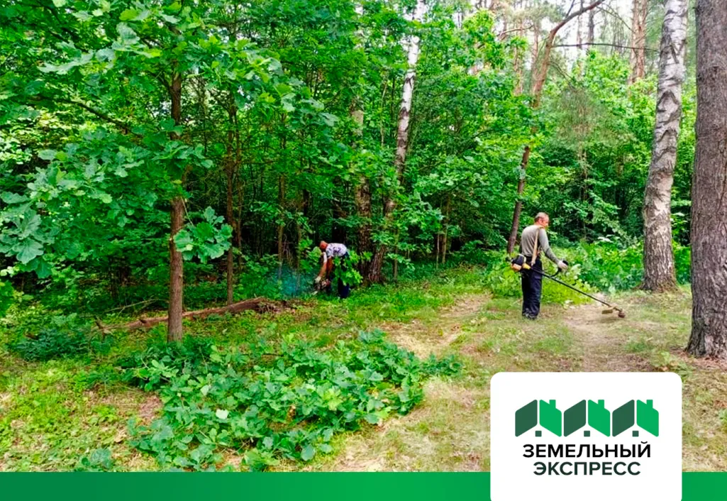 Работы по зачистке участков, прилегающих к лесу в поселке «Династия»