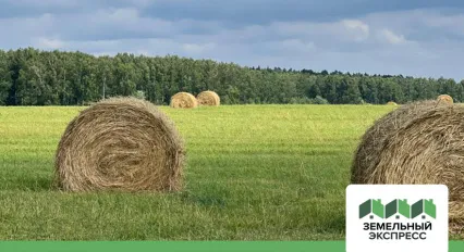 Работы по благоустройству поселка «Карамель»