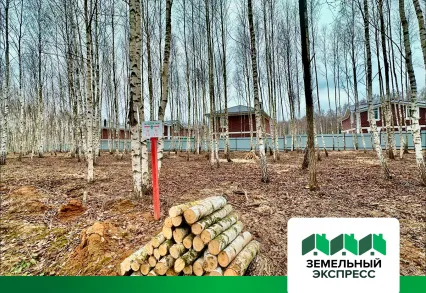 В коттеджном посёлке "Лесной остров" произвели уборку участков.