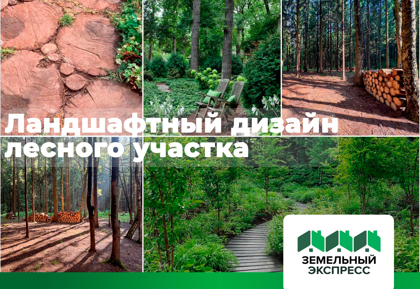 Ландшафтный дизайн лесного участка: особенности и тонкости